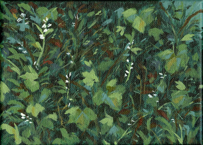 {5 x 6 acrylic on canvas}- 2025